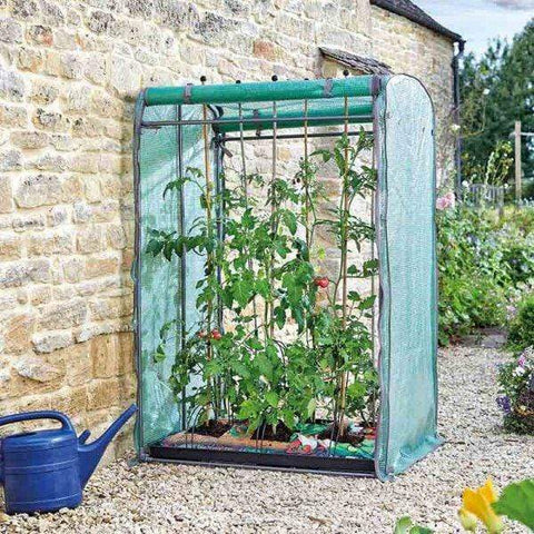 Smart Garden Tomato Growhouse Smart Garden Tomato Gro-Zone Max Growhouse