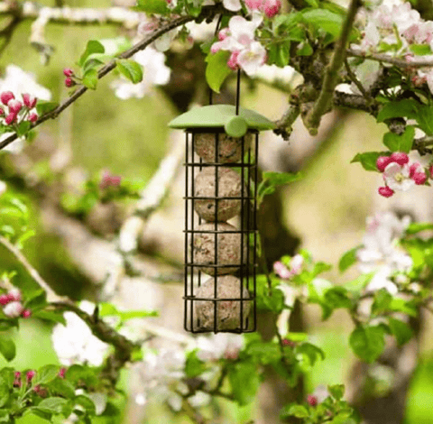 Smart Garden Fat Balls & Suet Feeders Smart Garden Twist Top Suet Ball Feeder 20cm