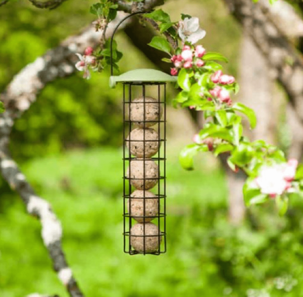 Smart Garden Twist Top Suet Ball Feeder 30cm Trowell Garden Centre