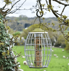 Smart Garden Bird Feeders Smart Garden Ultra Squirrel Proof Seed Feeder
