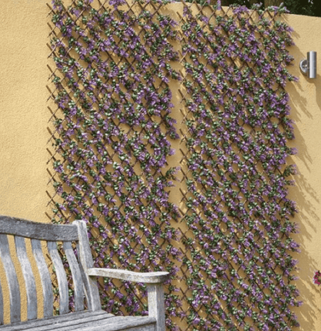 Smart Garden Violet Trellis Smart Garden Violet Bloom Trellis 60 x 180cm
