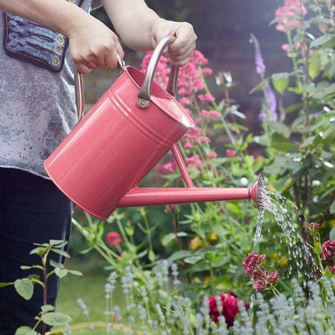 Smart Garden Watering Cans Coral Pink Smart Garden Watering Can Galvanised Steel 4.5L