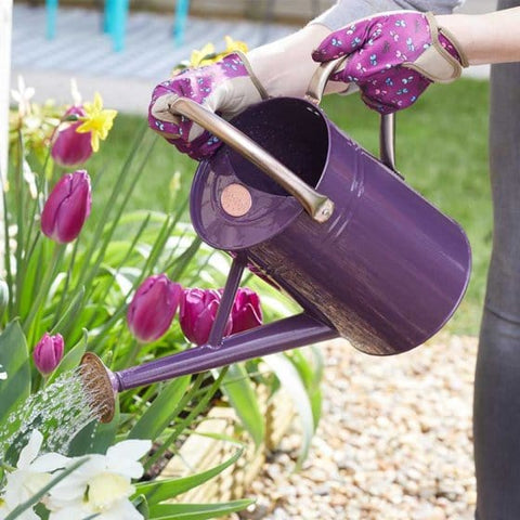 Smart Garden Watering Cans Violet Smart Garden Watering Can Galvanised Steel 4.5L