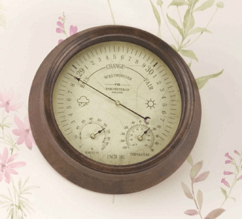 Smart Garden Thermometer Smart Garden Westminster Barometer and Thermometer