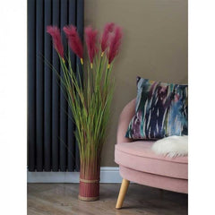 Trowell Garden Centre Smart Garden White or Purple Pampas