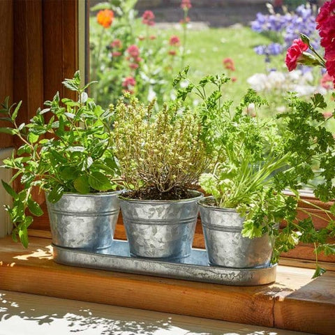 Smart Garden Windowsill Herb Pots galvanised Smart Garden Windowsill Herb Pots Slate or Galvanised