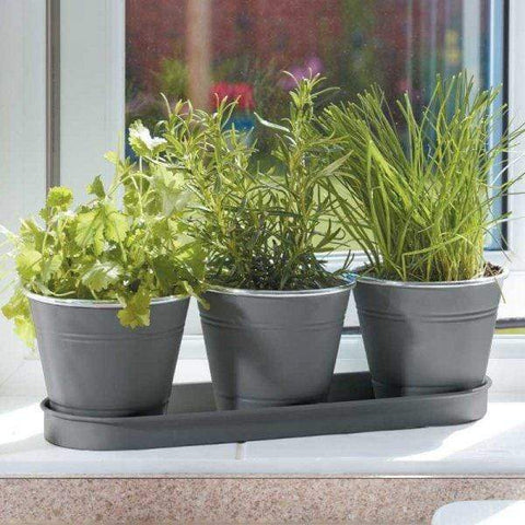 Smart Garden Windowsill Herb Pots Smart Garden Windowsill Herb Pots Slate