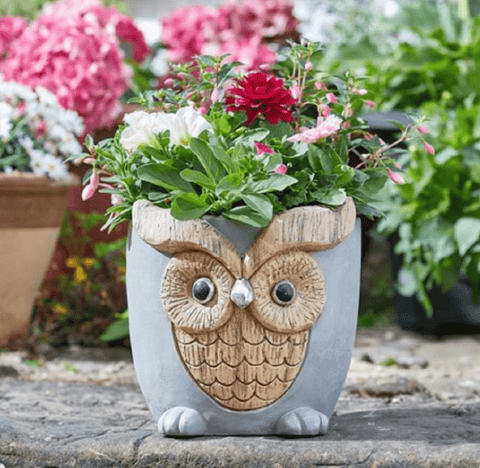large owl plant pot Smart Garden Woodstone Owl Planter – Trowell Garden Centre
