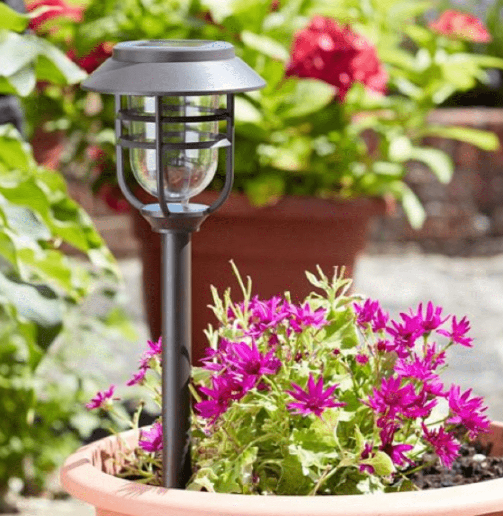 Solar Rice Stake Light Smart Solar Avant Solar Stake Light 5pc – Trowell Garden Centre