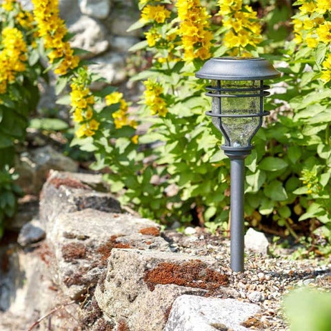 Smart Solar Stake Lights Smart Solar Capri Stake Light 10 Lumens