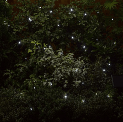 Smart Solar Outdoor lighting Smart Solar LED String Lights Cool White 50