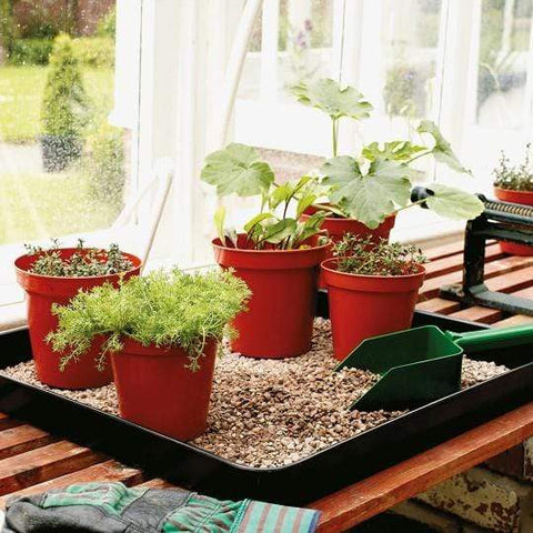 Stewart Garden Seed Trays Stewart Gravel Tray 54cm - Black