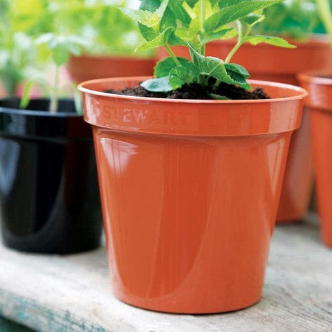 Stewart Garden Planters & Pots Stewart Premium Pot single Terracotta