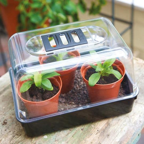 Stewart Garden Propagation Products Stewart Propagator Cover - 22, 38, 52 or 67cm