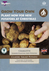 Taylors Seed Potatoes Taylors Autumn seed potatoes Charlotte