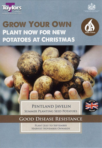 Taylors Seed Potatoes Taylors Autumn seed potatoes Pentland Javelin