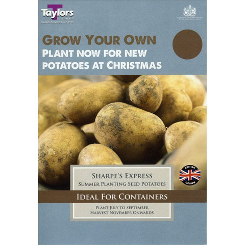 Taylors Seed Potatoes Taylors Autumn seed potatoes Sharpe's Express