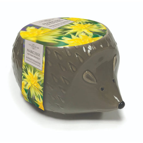 Taylors Flower Bulbs Taylors Bulbs Novelty Hedgehog Planter