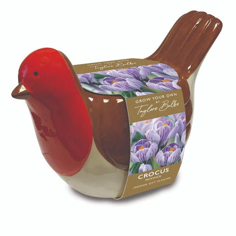 Taylors Flower Bulbs Taylors Bulbs Novelty Robin Planter