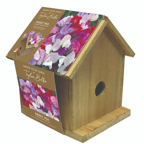 Taylors Flower Bulbs Taylors Bulbs Outdoor Sweet pea birdhouse