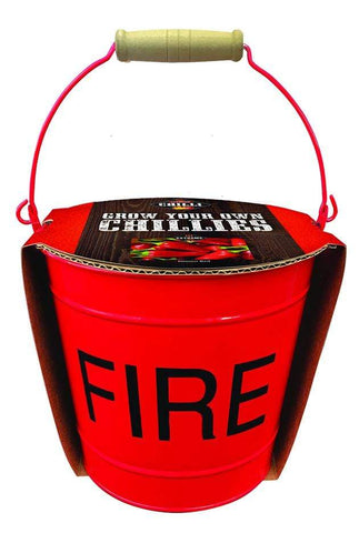 Taylors Chilli Planter Taylors Chilli Metal Fire Bucket Planter