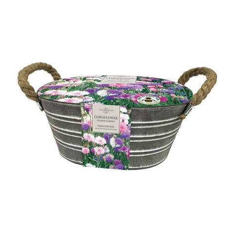 Taylors Outdoor Planter Taylors Cornflower Flower Garden