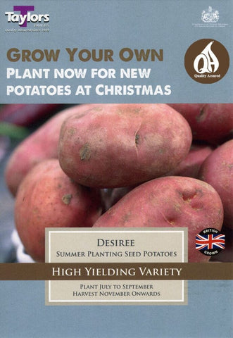 Taylors Seed Potatoes Taylors Desiree Autumn seed potatoes