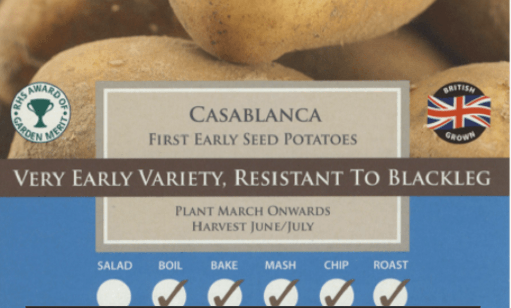 Taylors Seed Potatoes Taylors First Early Casablanca Seed Potatoes 2kg