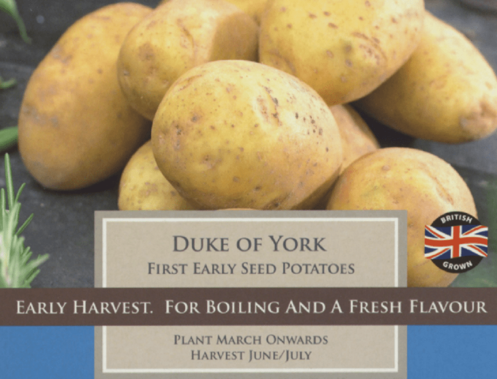 Taylors Seed Potatoes Taylors First Early Duke of York Seed Potatoes