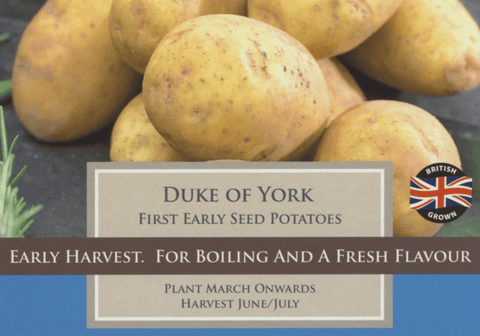 Taylors Seed Potatoes Taylors First Early Foremost Seed Potatoes
