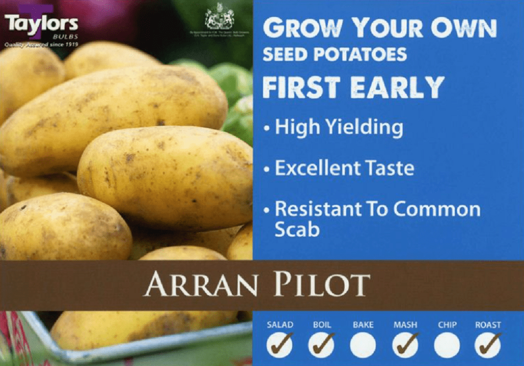 Taylor's Seed Potatoes Taylors First Early Seed Potatoes 'Arran Pilot' 2kg