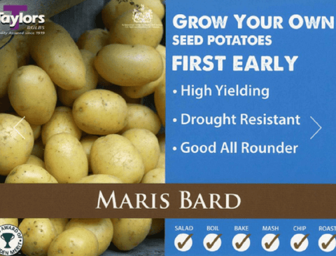 Taylor's Seed Potatoes Taylors Seed Potatoes 'Maris Bard' 2kg