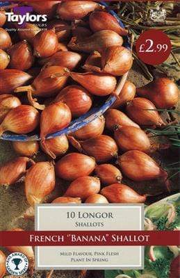 Taylors Shallots Taylors French Longor Shallots 10 Pack