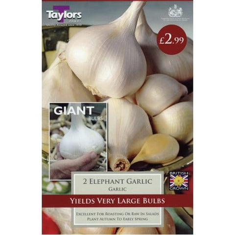 Taylors Taylor Garlic Taylors Garlic Elephant pack of 2