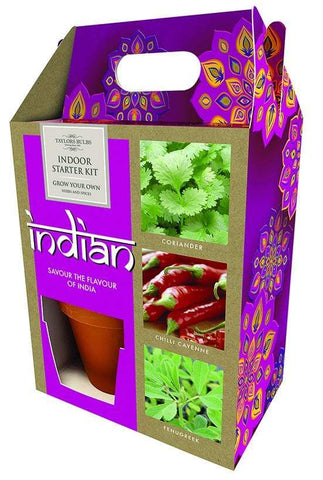 Taylors Bulb Starter Kit Taylors Indian Starter Kit