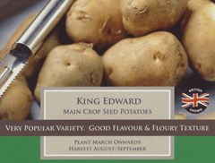 Taylors Seed Potatoes Taylors Main Crop King Edward Seed Potatoes