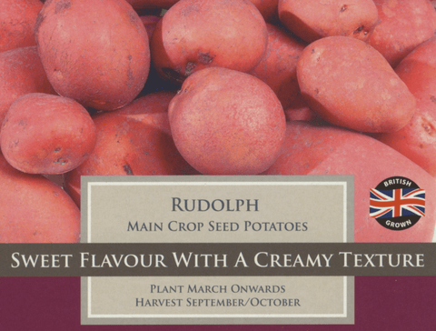Taylors Seed Potatoes Taylors Main Crop Rudolph Seed Potatoes