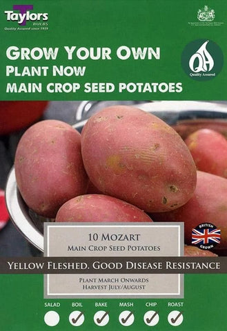 Taylors Potatoes Taylors Mozart seed potatoes 10 Tubers