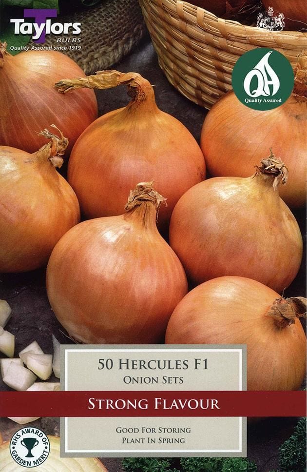 Taylors Taylors Onion Hercules 50 pack