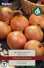 Taylors Taylors Onion Hercules 50 pack