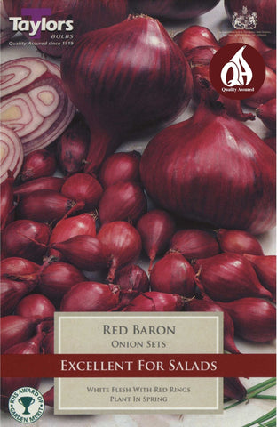 Taylors Taylors Onion Red Baron - 50 Pack
