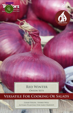 Taylors Taylor Onions Taylors Onion Red Winter pack of 50