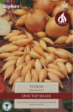 Taylors Taylors Onion Sturon - 50 pack