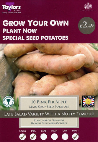Taylors Potatoes Taylors Pink Fir Apple seed potatoes 10 tubers