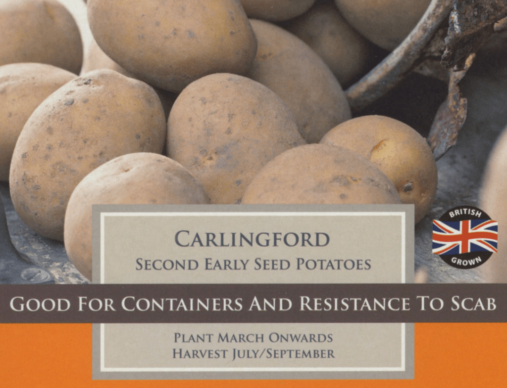 Taylors Seed Potatoes Taylors Second Early Carlingford Seed Potatoes