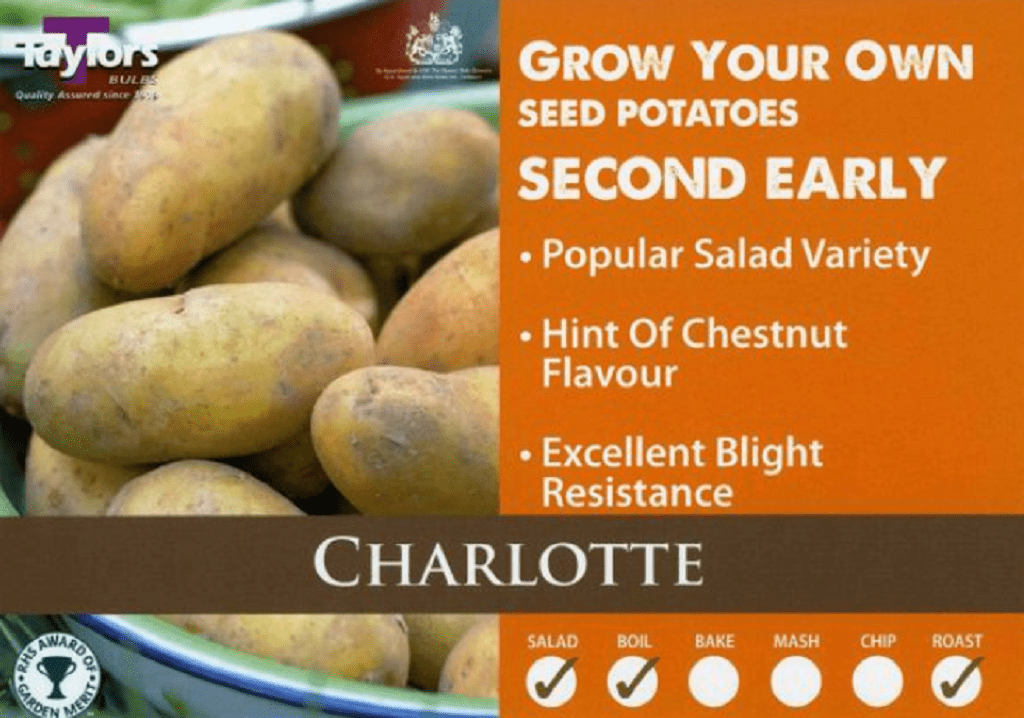 Taylor's Seed Potatoes Taylors Seed Potatoes 'Charlotte' 2kg