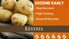 Taylor's Seed Potatoes Taylors Second Early Seed Potatoes 'Kestrel' 2kg