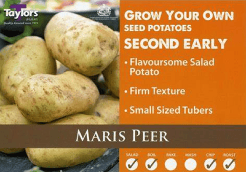 Taylor's Seed Potatoes Taylors Seed Potatoes 'Maris Peer' 2kg