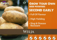 Taylor's Seed Potatoes Taylors Seed Potatoes 'Wilja' 2kg