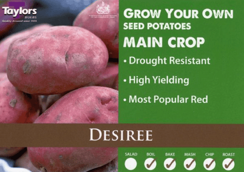 Taylor's Seed Potatoes Taylors Seed Potatoes 'Desiree' 2kg